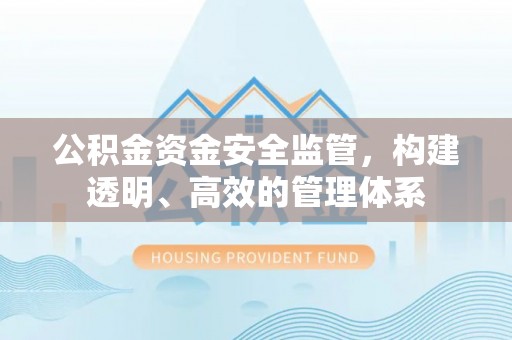 博尔塔拉公积金资金安全监管，构建透明、高效的管理体系