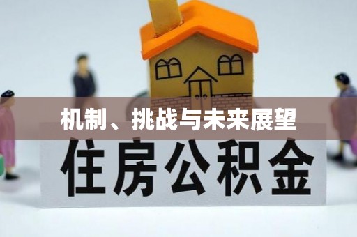 博尔塔拉机制、挑战与未来展望