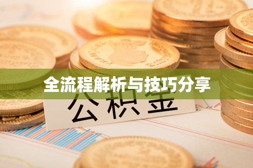 博尔塔拉全流程解析与技巧分享