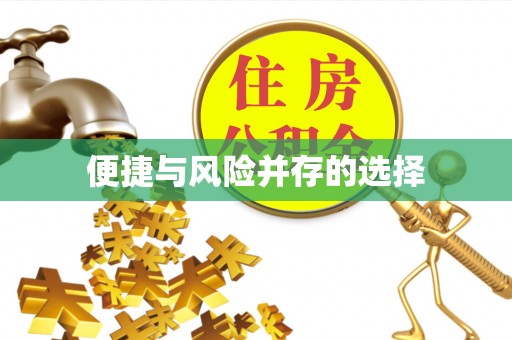 博尔塔拉便捷与风险并存的选择
